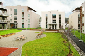 Film om Dyrmyrskauen!