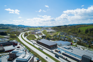 Bilde av Vi lanserer "The Oak"