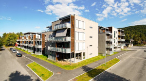 Bilde av Dyrmyrskauen