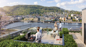 Bilde av Engebredden