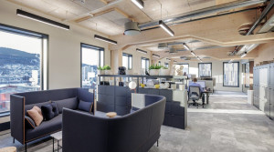 Bilde av Prestekrage