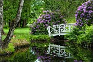 Bilde av bildekarusell